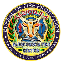 PGFS Logo.png