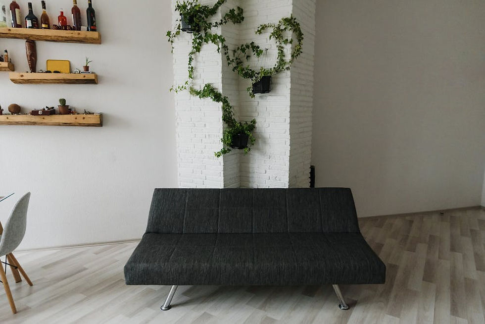 Sofa cama