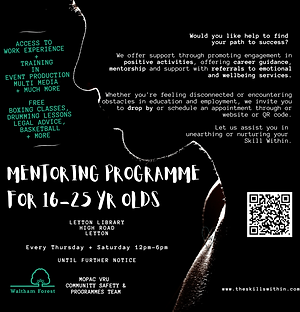 Mentoring WEBSITE 800.png