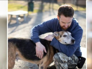Clear the Shelters This Weekend, No Fees.
