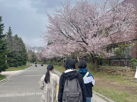 B型レクでお花見に行きました🌸