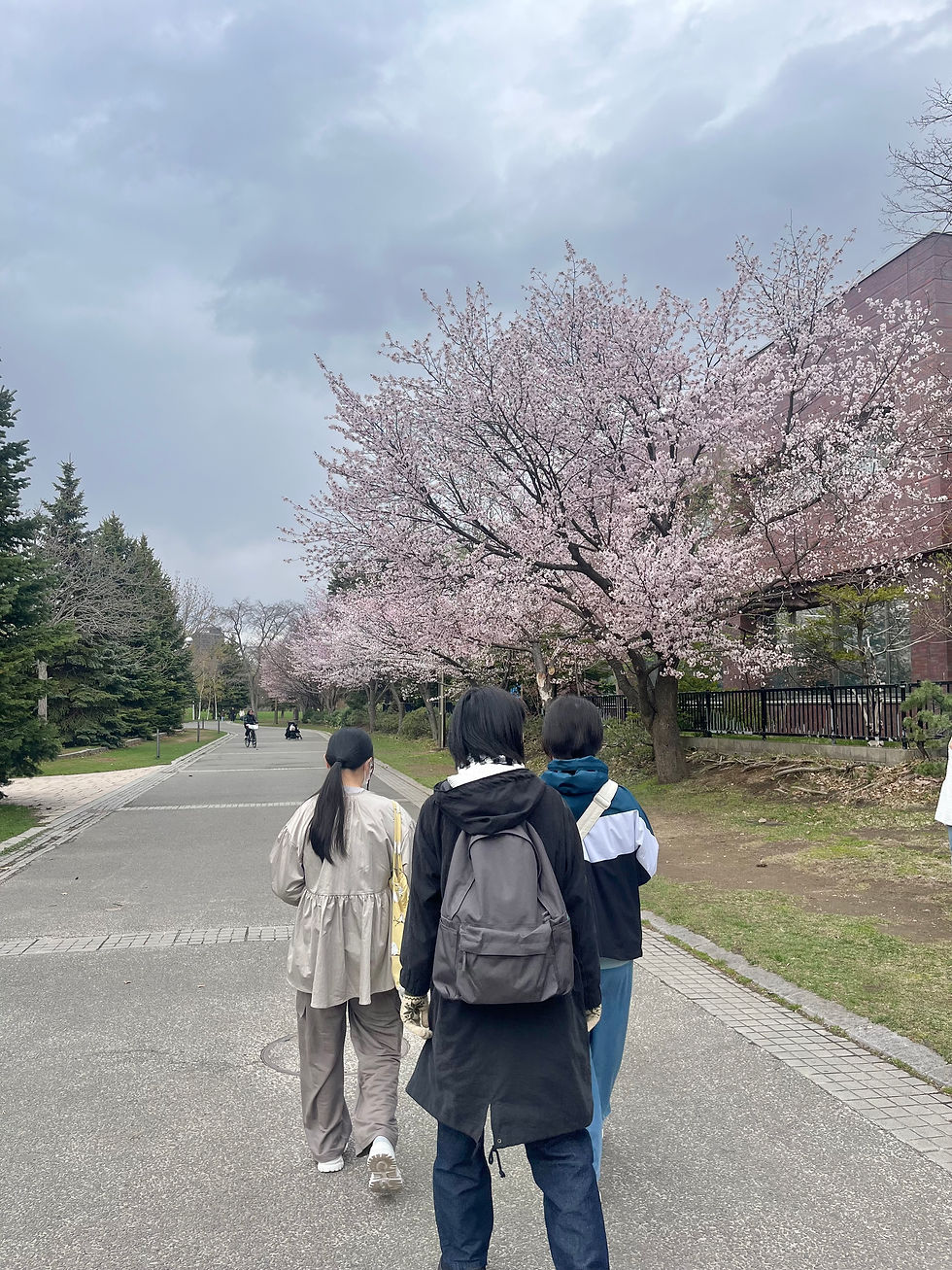 B型レクでお花見に行きました🌸