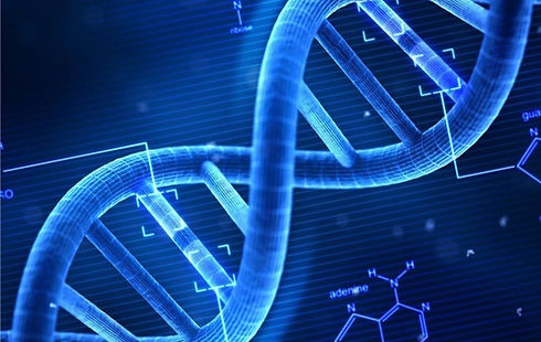 Bioinformática-WEB-1.jpg