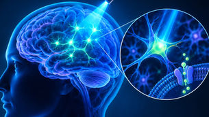 Optogenética: cuando la luz se convierte en un interruptor para el cerebro