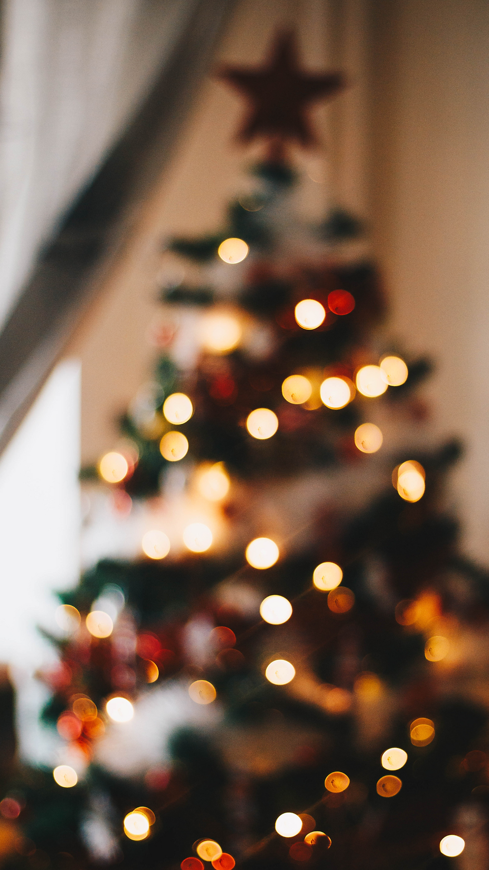 Le petit marché de Noël de 🎄