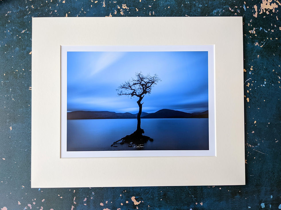 Thumbnail: Kunal Tewari Photography | Standing tall: Milarrochy Bay, Loch Lomond