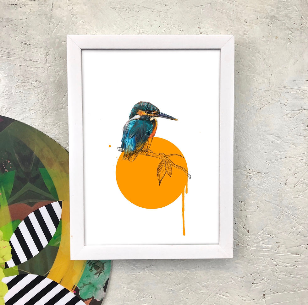 Thumbnail: Diedododa | Animal Antics Giclee Fine Art Prints A3
