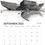 Thumbnail: Liana Moran | My Scotland Calendar 2022