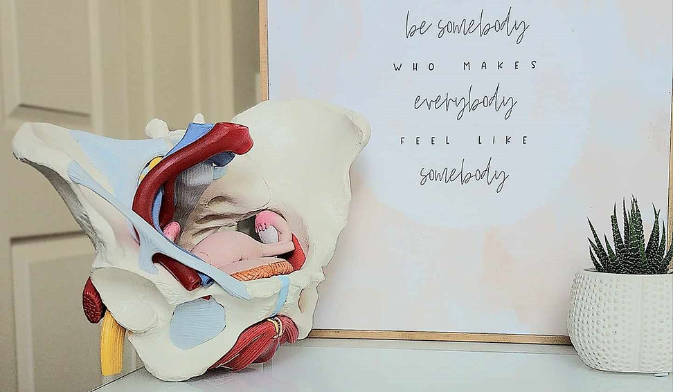 Elevate PT Pelvic Health and Wellness pelvic physical therapy