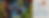 MAUI JIM TEMPLEMAN BANNER-2.png