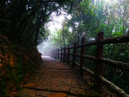 The Path