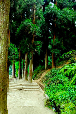 lonely path mirik 1