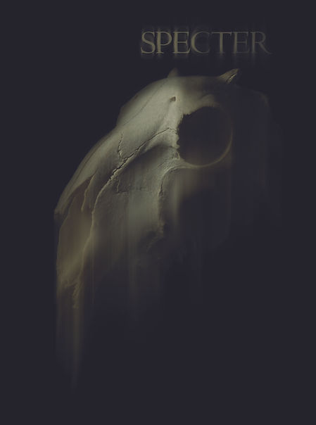 Poster.jpg