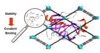 Zhou_Group_Logo_resize.jpg