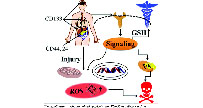 Zhou_Group_Logo_resize.jpg