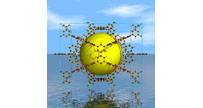 Zhou_Group_Logo_resize.jpg