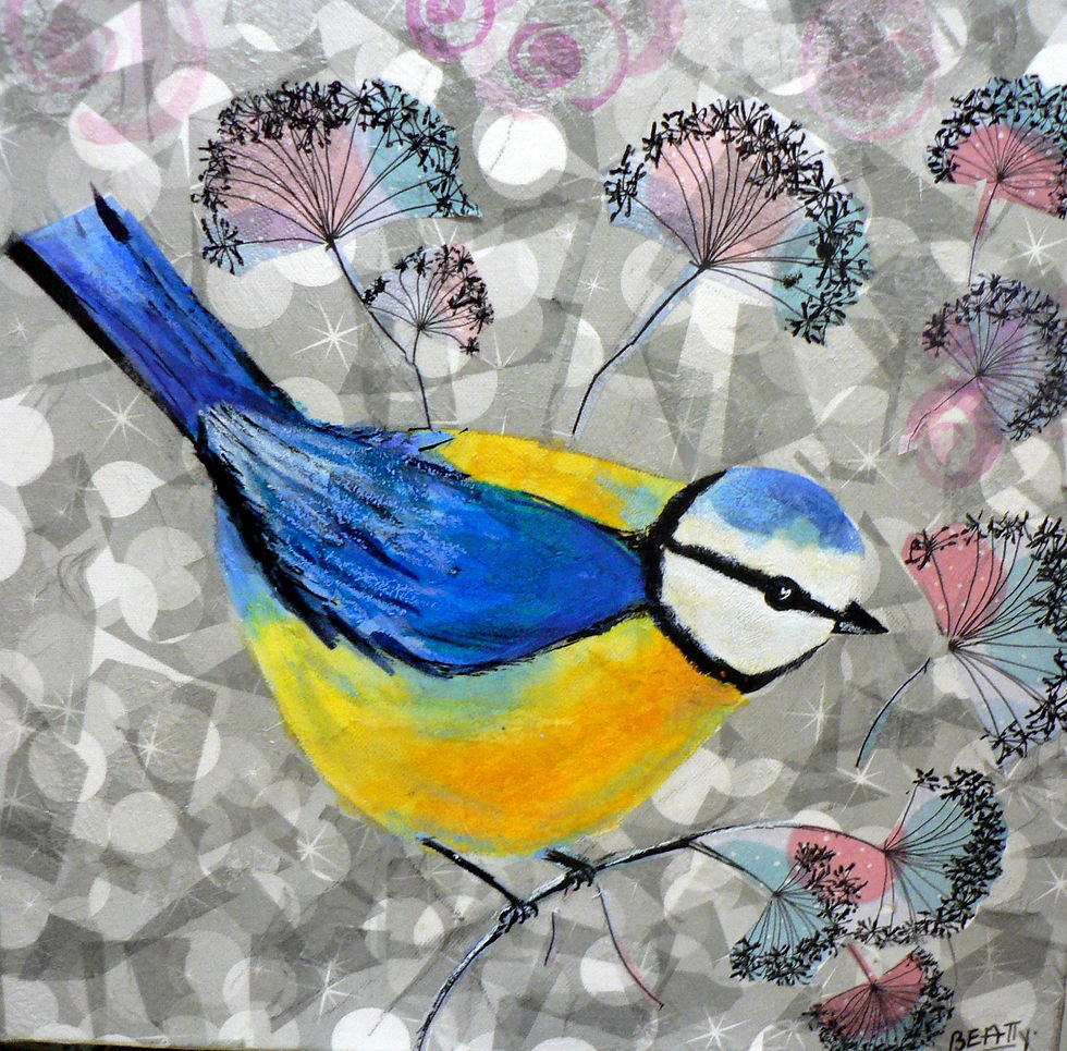 Mésange bleue