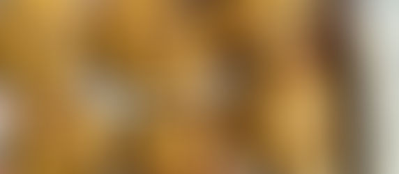 Brown Butter Pumpkin Chocolate Chip Cookies 🍪🎃