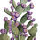 Thumbnail: "Purple Prickly Pear Painting"