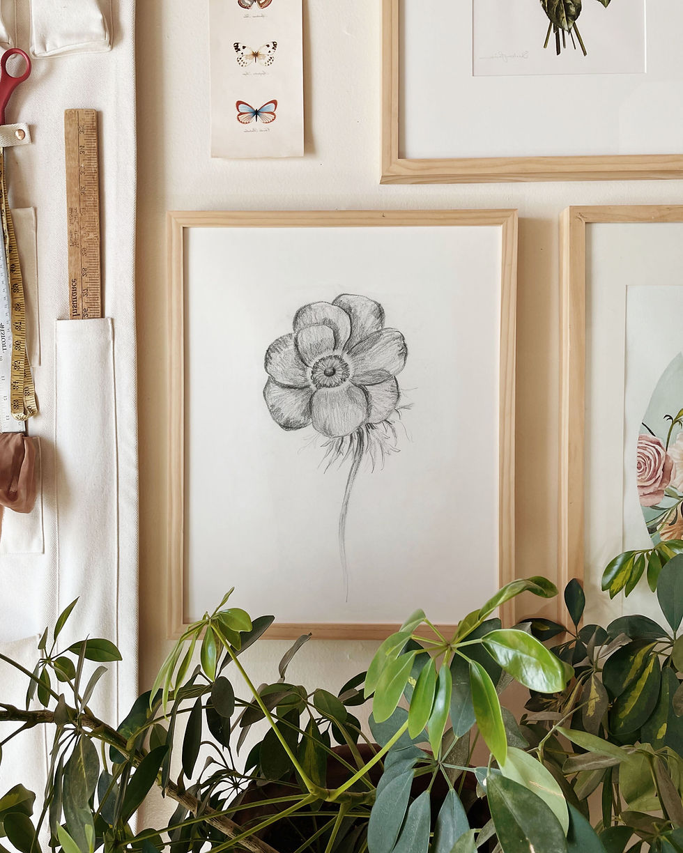 Thumbnail: Anemone Sketch