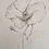 Thumbnail: Poppy  — Original Pencil Sketch