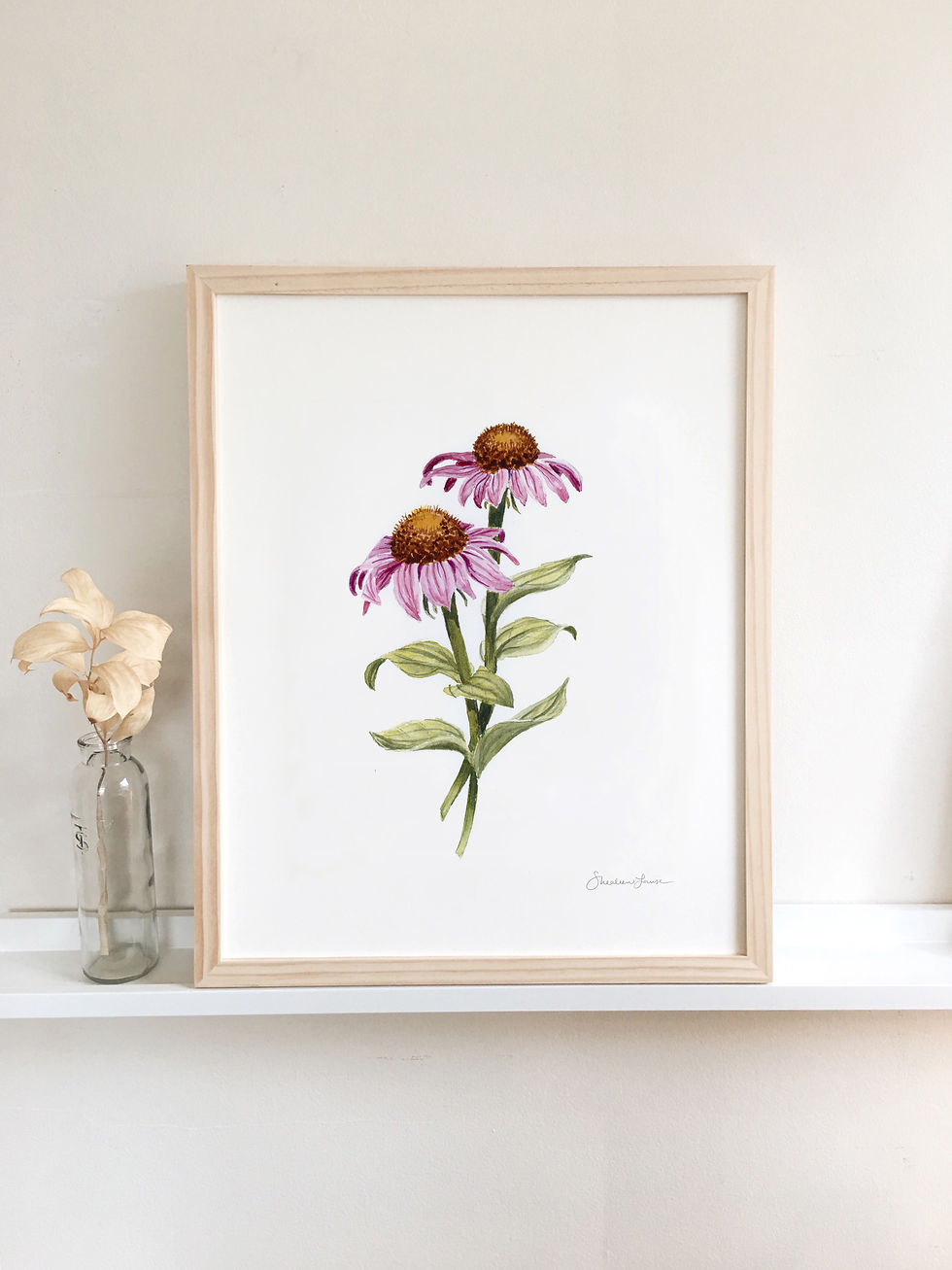 Thumbnail: purple coneflower echinacea fine art print