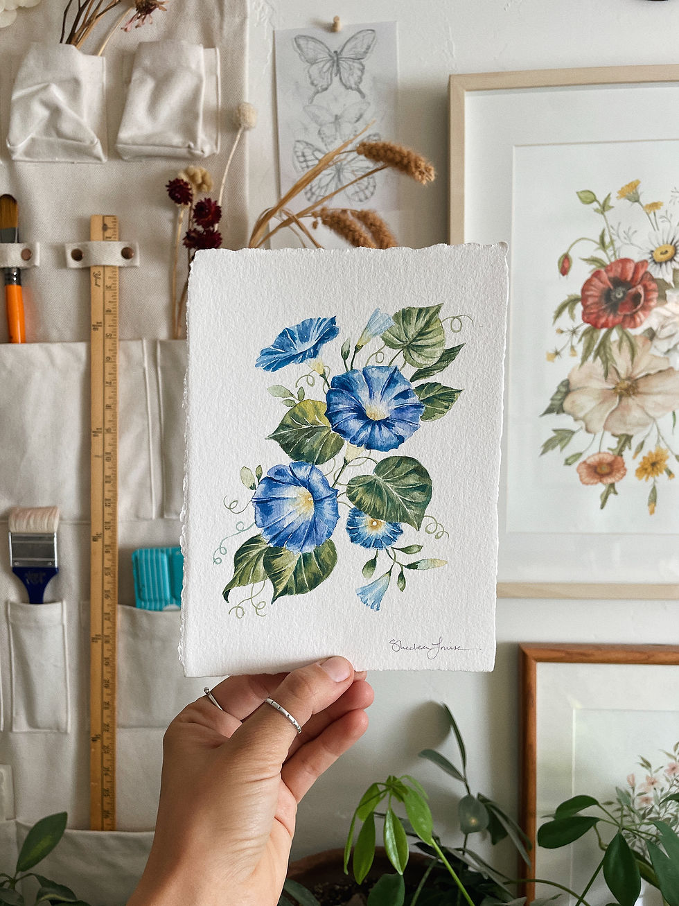 Thumbnail: Original Morning Glory Watercolor Painting