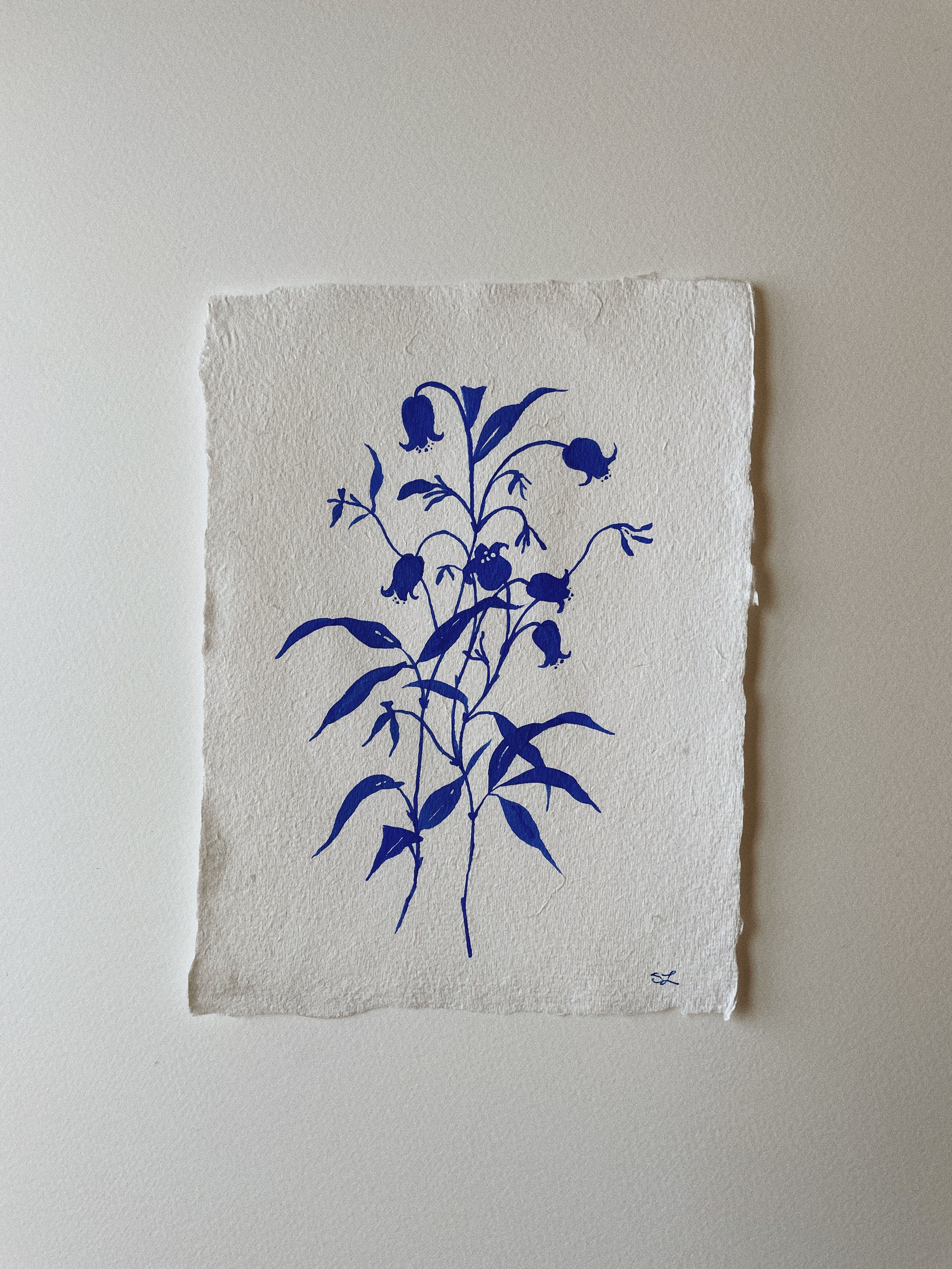 Blue Botanicals — Bell Clematis