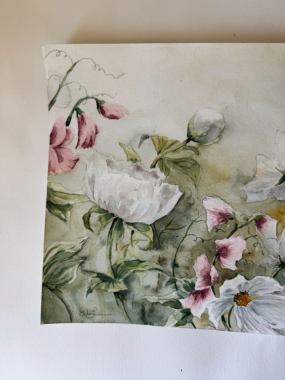 Thumbnail: "Cosmos, Sweet Pea, Peonies" 12x16