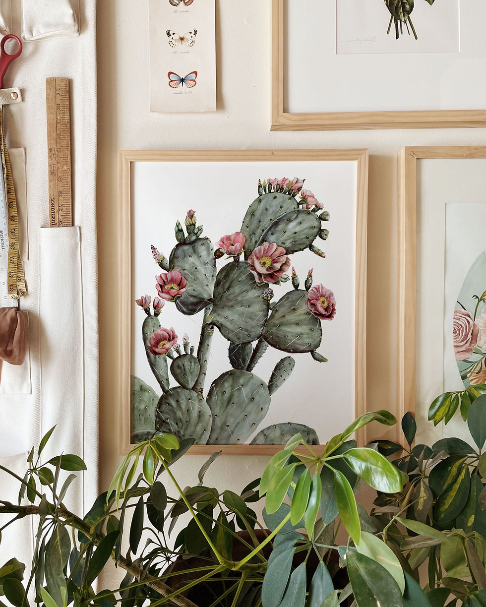Thumbnail: "Flowering Prickly Pear Cactus"