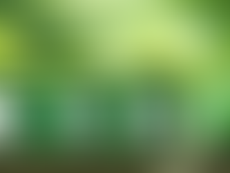 EU Simplifies Carbon Border Adjustment Mechanism (CBAM) - by. Lt. Col. Pawan S Yadav