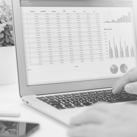 Insurance Business Spreadsheets