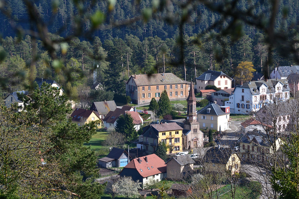 gîte la sapinière aubure ribeauville appartement alsace