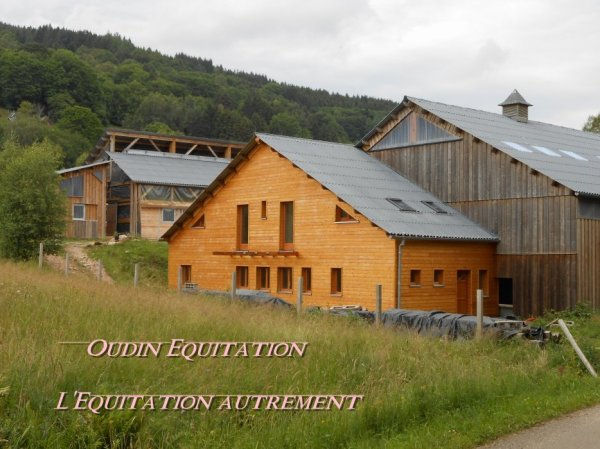 gîte la sapinière aubure ribeauville appartement alsace équitation