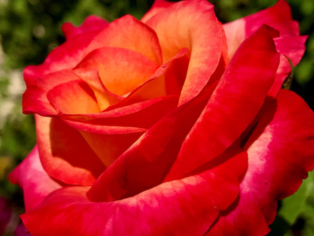 Our God is a consuming fire...