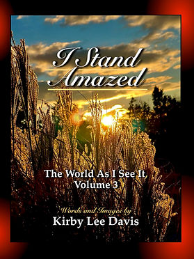 ISA front cover JPG.jpg
