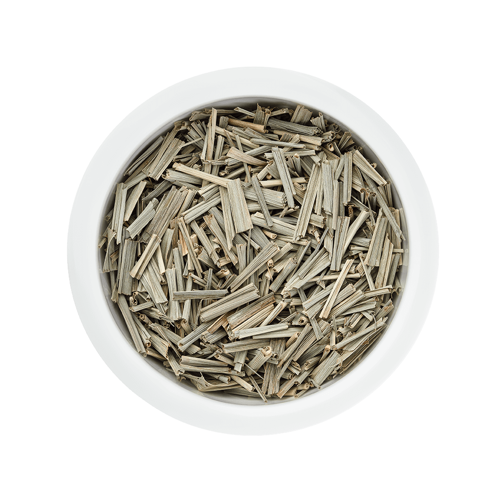 Lemongrass – close-up view