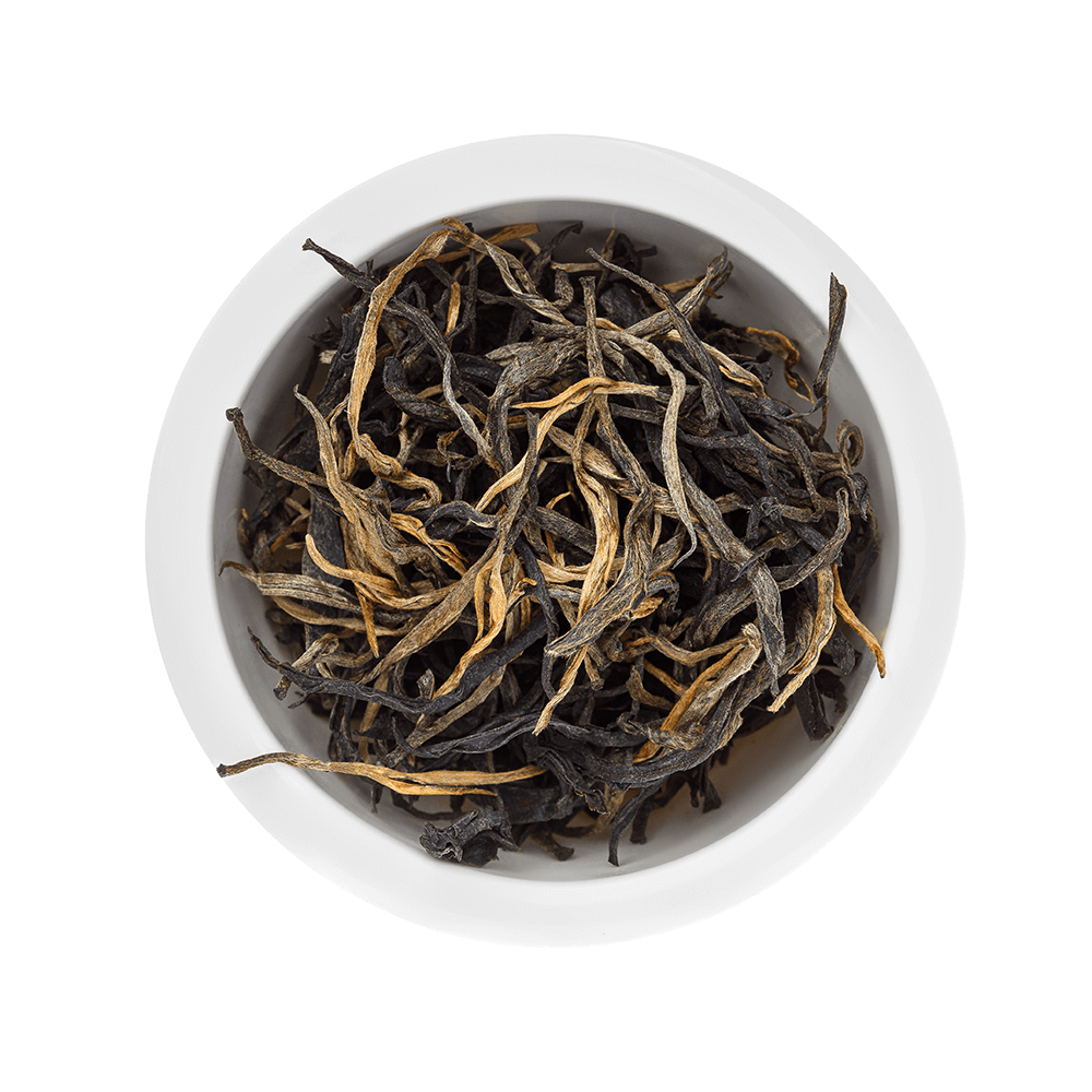 Black Ruby – close-up view