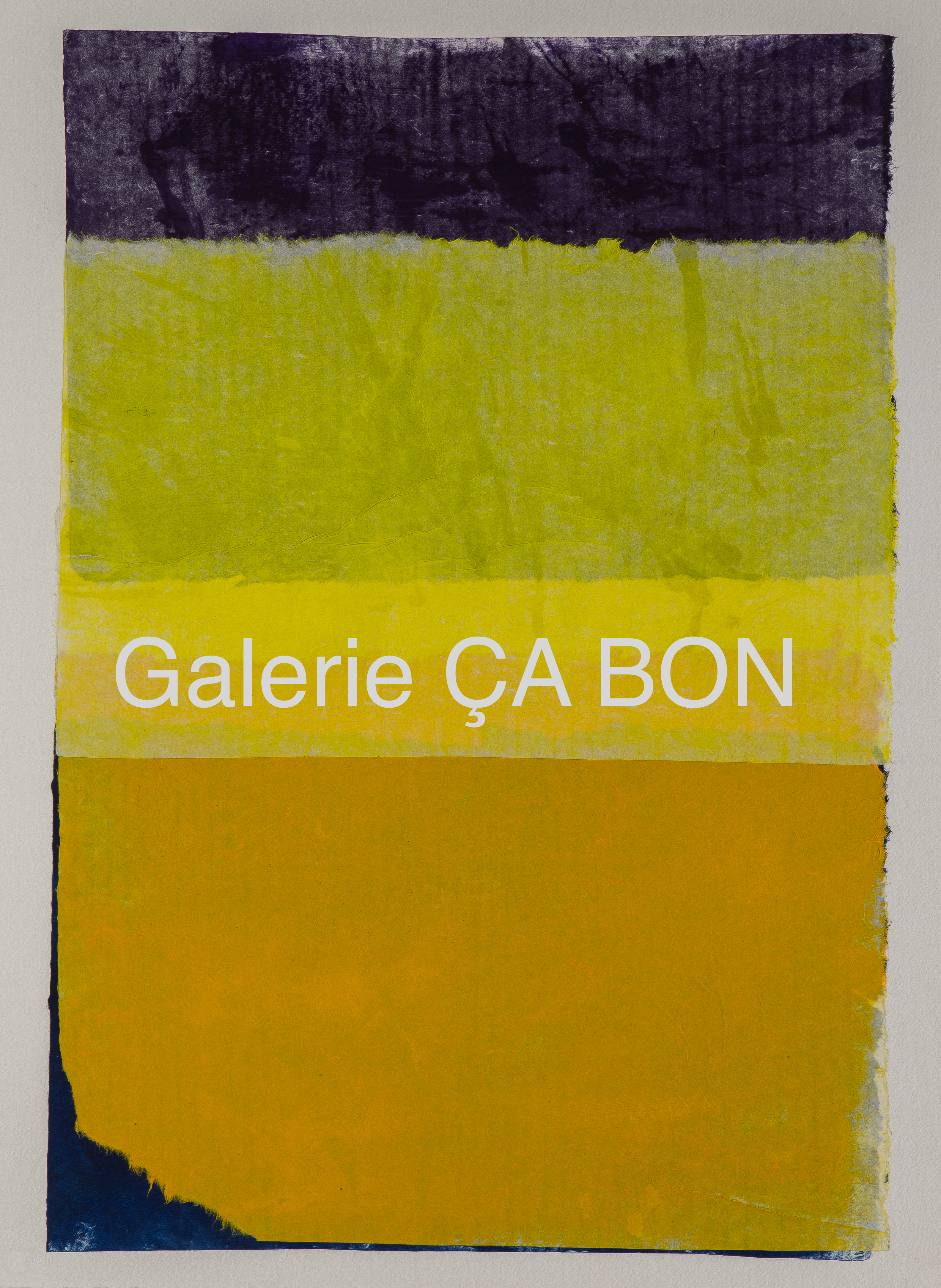 COLOR FIELDS 6