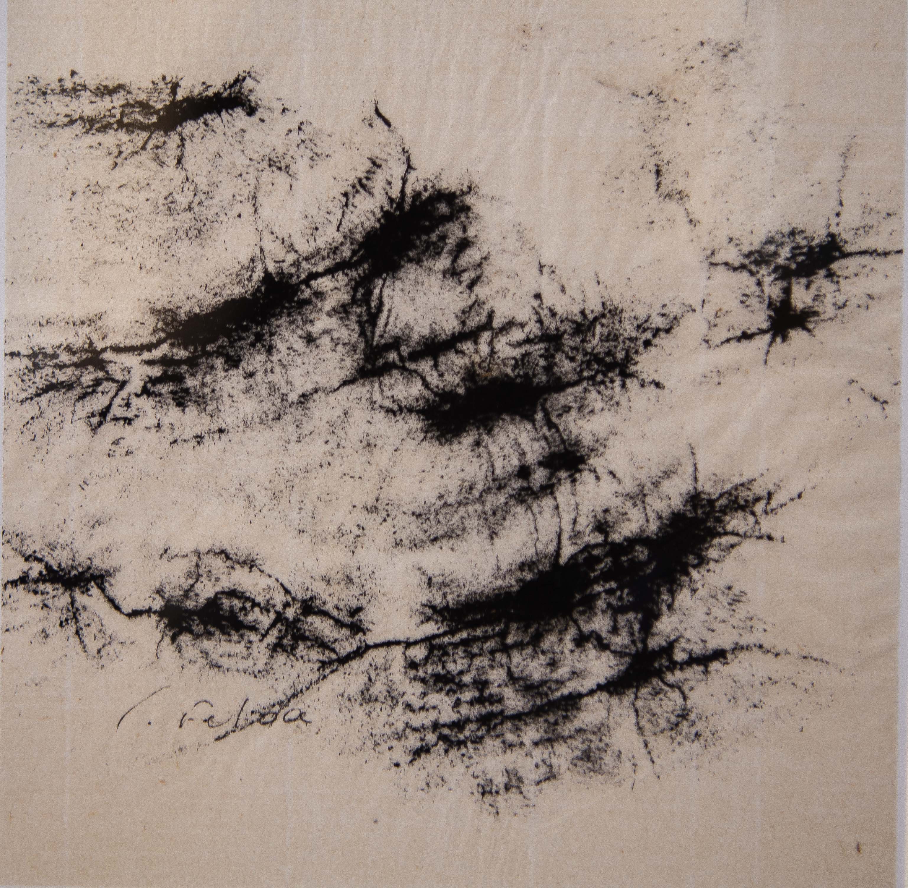 Yakushima mini rubbing art