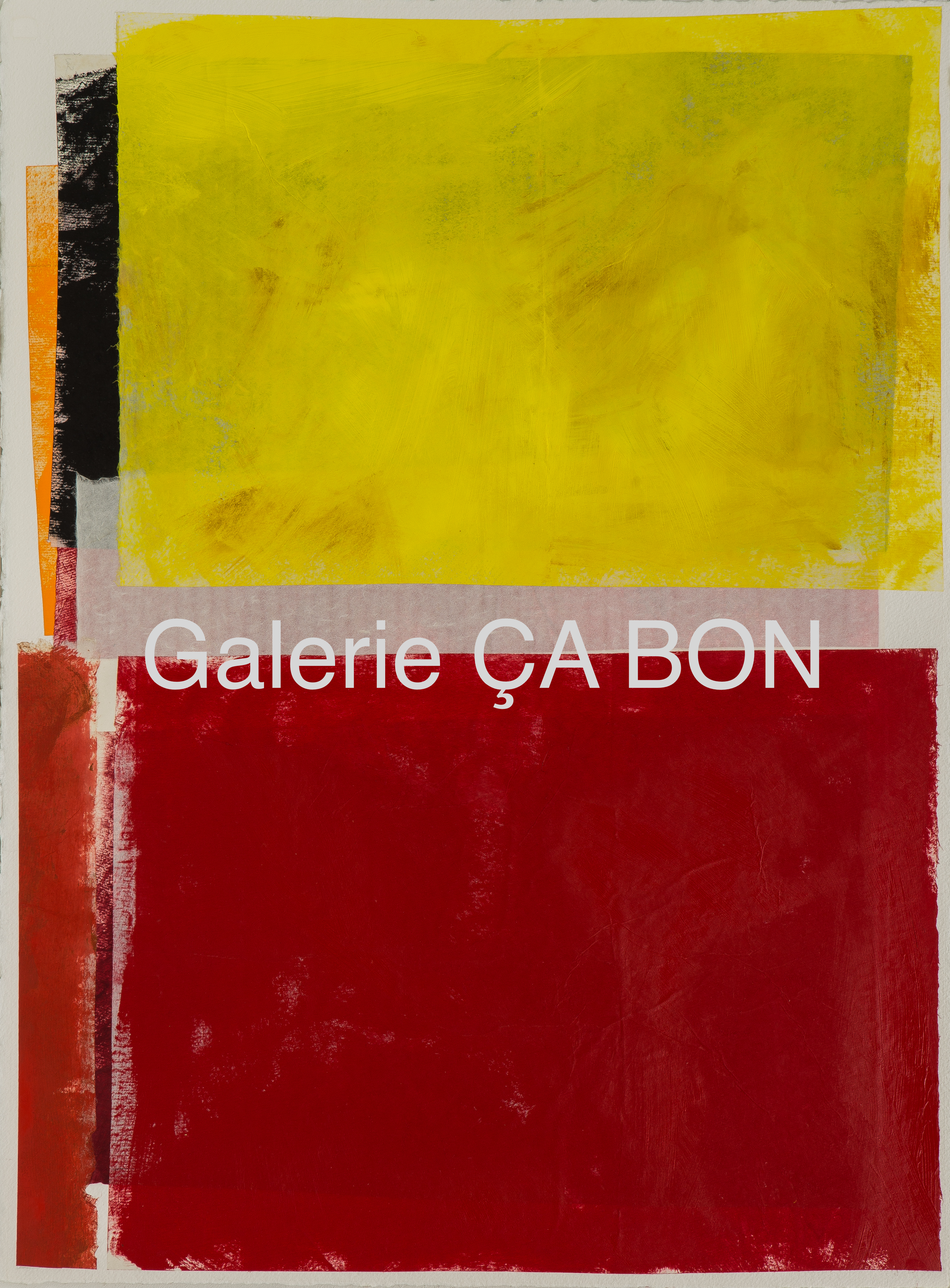 COLOR FIELDS 9