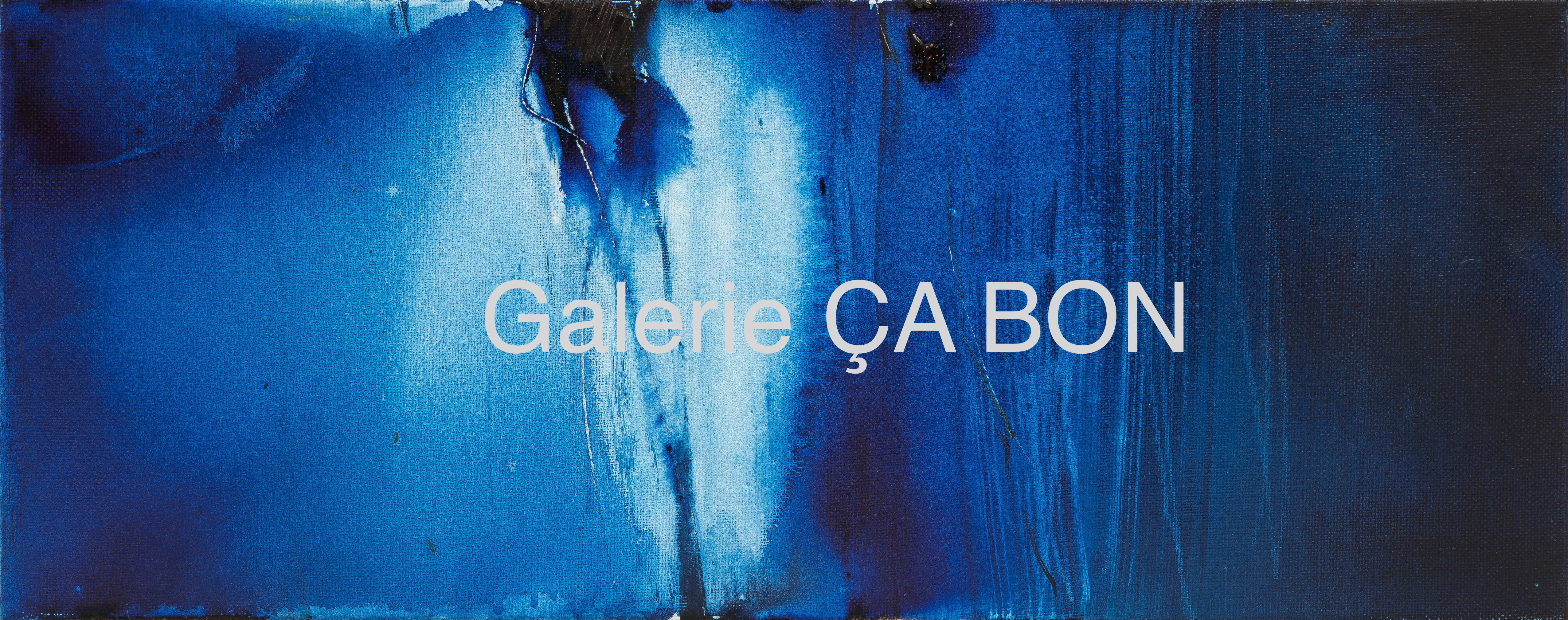 LONGUE BLEUE 2