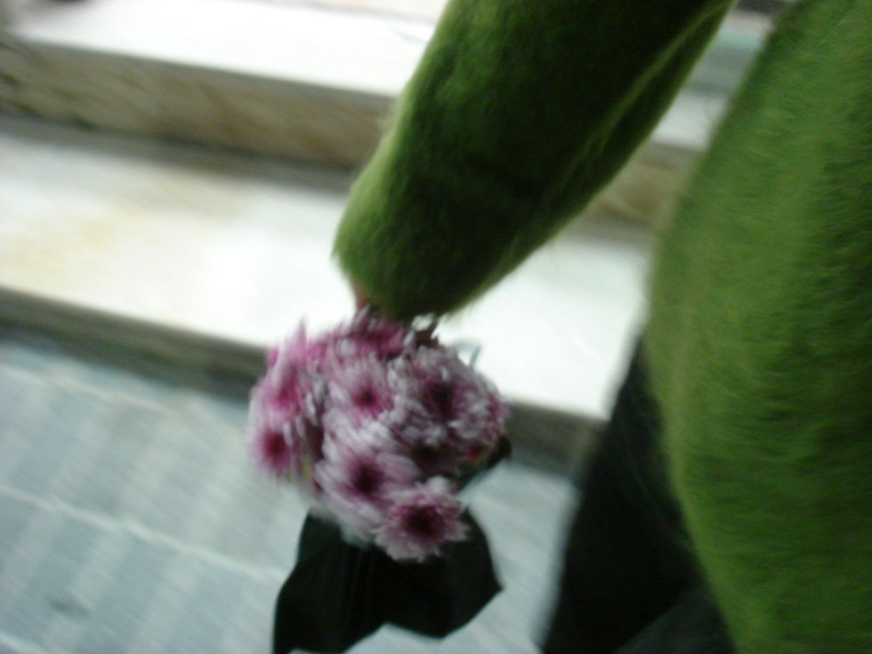 DSC01890