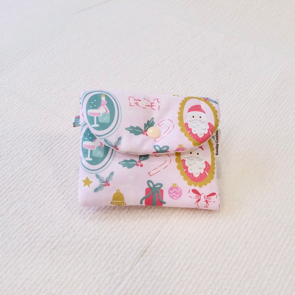 Small Puffy pouch - Jolly frames