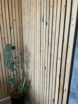 image1.jpeg