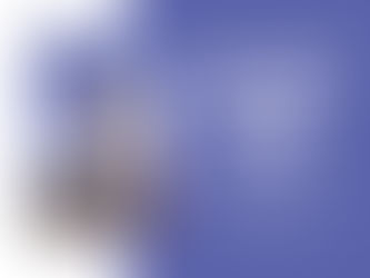 Pinnacle on the Park