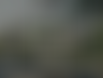 Moonlight Sonata – Bản hòa tấu dành cho người sành điệu.