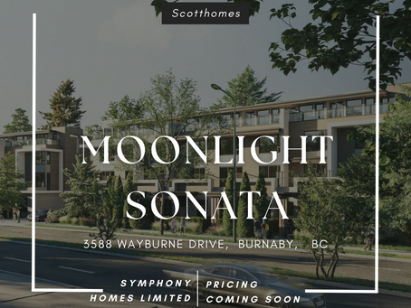 Moonlight Sonata – Bản hòa tấu dành cho người sành điệu.