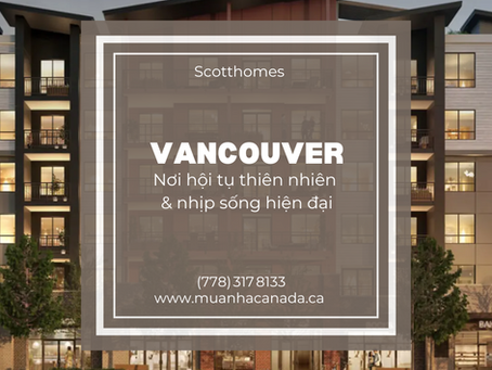Vancouver: Nơi hội tụ thiên nhiên & nhịp sống hiện đại