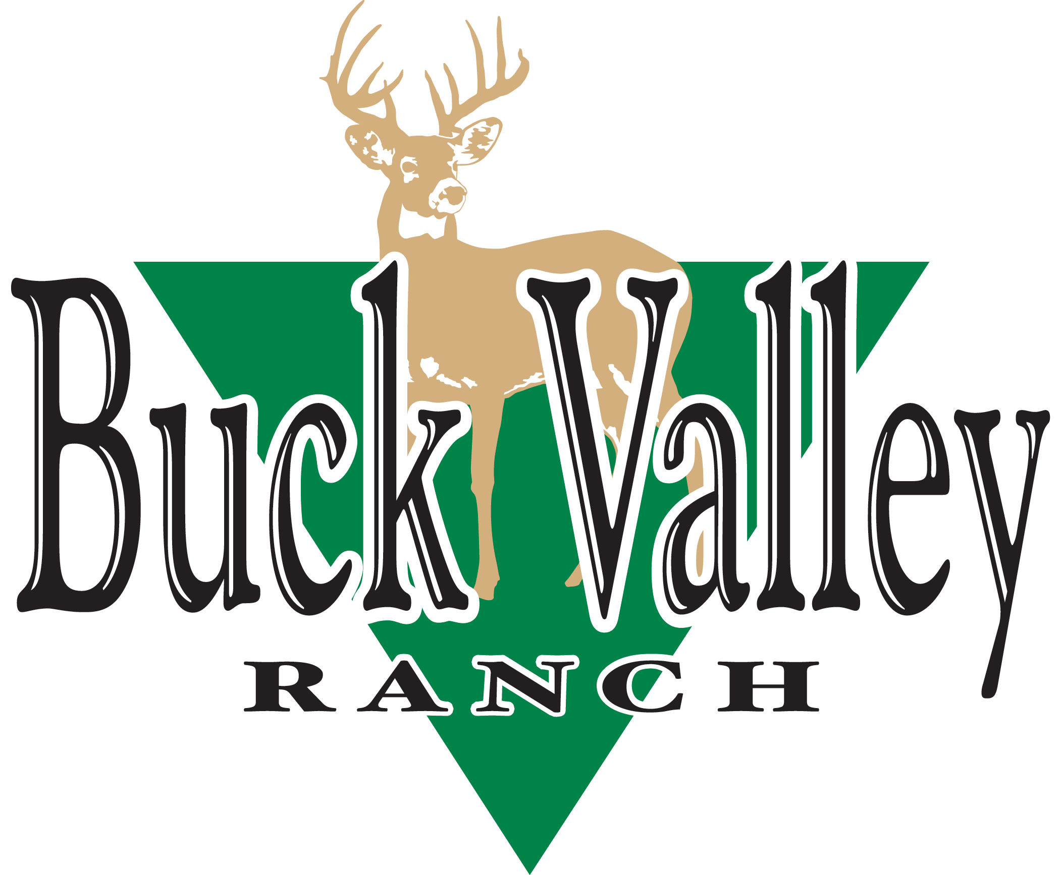 BVR logo large.png
